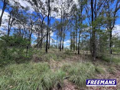 Farm For Sale - QLD - Wattle Camp - 4615 - A nicely elevated 5.4 acres  (Image 2)