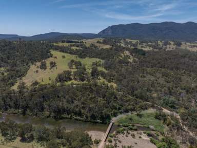 Farm For Sale - NSW - Burragate - 2550 - 100 ACRES WITH PRISTINE RIVER FRONTAGE  (Image 2)