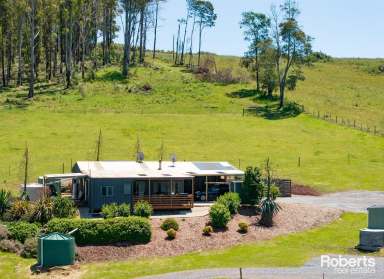 Farm For Sale - TAS - Winkleigh - 7275 - On Top of the Hill!  (Image 2)