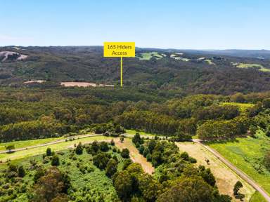 Farm For Sale - VIC - Yuulong - 3237 - 223.90 HA (553.27 Acres) - Former Bluegum Forestry Plantation - Selling Post Harvest  (Image 2)