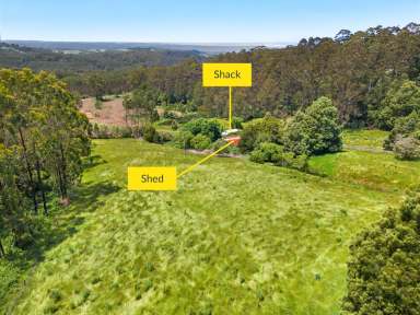 Farm For Sale - VIC - Yuulong - 3237 - 223.90 HA (553.27 Acres) - Former Bluegum Forestry Plantation - Selling Post Harvest  (Image 2)