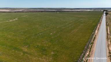 Farm For Sale - WA - South Doodlakine - 6411 - "TILLERS"  (Image 2)