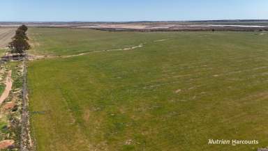 Farm For Sale - WA - South Doodlakine - 6411 - "TILLERS"  (Image 2)