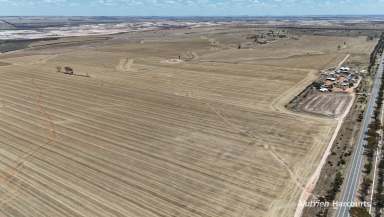 Farm For Sale - WA - South Doodlakine - 6411 - "THORNTON FARM"  (Image 2)