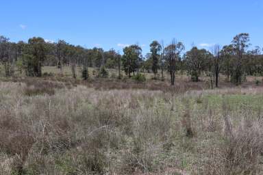 Farm For Sale - QLD - Mount Perry - 4671 - Ask the Cows "How Good Is the Paddock?"  (Image 2)