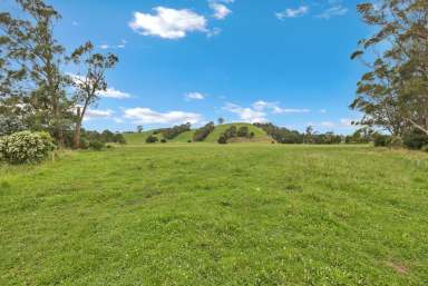 Farm For Sale - VIC - Hallora - 3818 - TURN OUT PADDOCK  (Image 2)