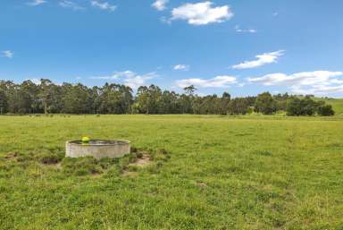 Farm For Sale - VIC - Hallora - 3818 - TURN OUT PADDOCK  (Image 2)