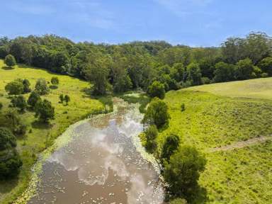 Farm For Sale - NSW - Nimbin - 2480 - Picturesque, Proximity & Potential  (Image 2)