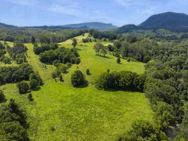 Farm For Sale - NSW - Nimbin - 2480 - Picturesque, Proximity & Potential  (Image 2)