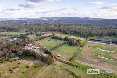 Farm For Sale - WA - Cuthbert - 6330 - RURAL ESTATE - A HAVEN FOR HORSES  (Image 2)