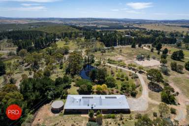 Farm For Sale - NSW - Wamboin - 2620 - Stunning family home backing onto Kowen Forest!  (Image 2)