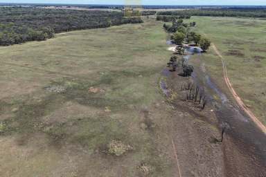 Farm For Sale - NSW - Wee Waa - 2388 - Lifestyle, Privacy & Income  (Image 2)