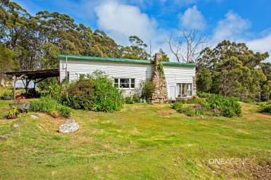 Farm For Sale - TAS - Marrawah - 7330 - Private & Tranquil Amongst The Trees!  (Image 2)