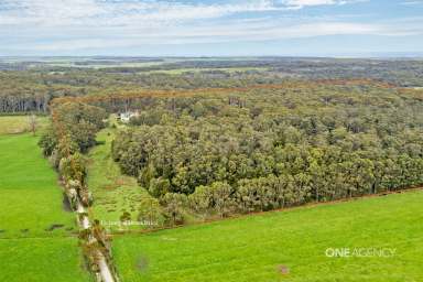 Farm For Sale - TAS - Marrawah - 7330 - Private & Tranquil Amongst The Trees!  (Image 2)