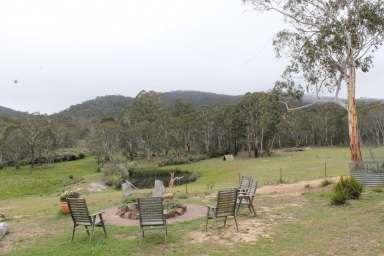 Farm For Sale - NSW - Wyanbene - 2622 - Riverside Retreat  (Image 2)