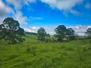 Farm For Sale - QLD - Ravensbourne - 4352 - Rare Block - Your Dreams Can Be Real!  (Image 2)