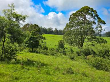 Farm For Sale - QLD - Ravensbourne - 4352 - Rare Block - Your Dreams Can Be Real!  (Image 2)