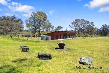 Farm For Sale - VIC - Kanumbra - 3719 - Kanumbra Kins Domain  (Image 2)