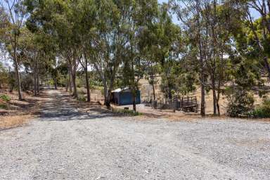 Farm For Sale - SA - Boston - 5607 - Coastal Acreage with Stunning Views and Endless Possibilities  (Image 2)