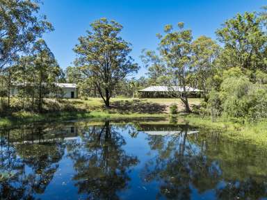 Farm For Sale - NSW - Limeburners Creek - 2324 - Nature on your doorstep!  (Image 2)