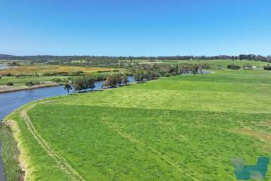 Farm For Sale - VIC - Marlo - 3888 - Exceptional river frontage  (Image 2)