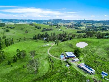 Farm For Sale - NSW - North Lismore - 2480 - Escape to Serenity: 130 Acres of Privacy in Woodlawn Area  (Image 2)