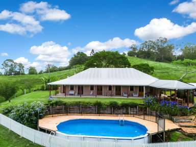 Farm For Sale - NSW - North Lismore - 2480 - Escape to Serenity: 130 Acres of Privacy in Woodlawn Area  (Image 2)