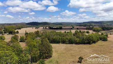 Farm For Sale - QLD - Ravenshoe - 4888 - Location I Lifestyle I Grazing  (Image 2)