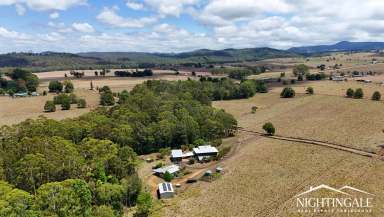 Farm For Sale - QLD - Ravenshoe - 4888 - Location I Lifestyle I Grazing  (Image 2)