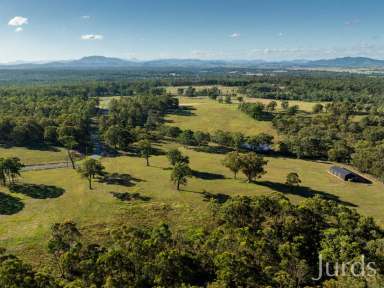 Farm For Sale - NSW - Sedgefield - 2330 - Wisemans Way - Rural living just 7 minutes from town!  (Image 2)