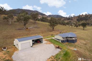 Farm For Sale - NSW - Mudgee - 2850 - FARMING AND LIFESTYLE JUST OUT OF MUDGEE  (Image 2)