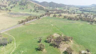 Farm For Sale - NSW - Mudgee - 2850 - FARMING AND LIFESTYLE JUST OUT OF MUDGEE  (Image 2)