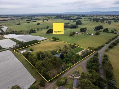 Farm For Sale - VIC - Warragul West - 3821 - PERIOD FARMHOUSE, 7 ACRES, VINYARD AND HORSE FACILITIES  (Image 2)