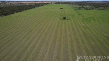 Farm For Sale - QLD - Jandowae - 4410 - QUALITY SOILS & PLENTY OF POTENTIAL!  (Image 2)