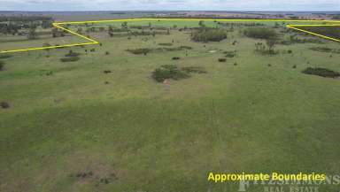 Farm For Sale - QLD - Jandowae - 4410 - QUALITY SOILS & PLENTY OF POTENTIAL!  (Image 2)