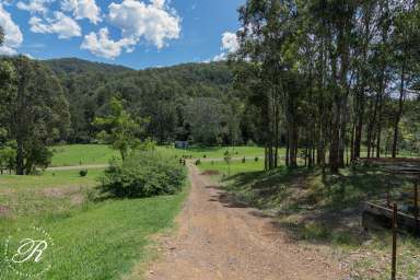 Farm For Sale - NSW - Bowman - 2422 - 5 acres with River Frontage  (Image 2)