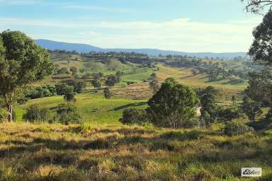 Farm For Sale - NSW - Coopers Gully - 2550 - Prime Acreage with Stunning Views in Coopers Gully  (Image 2)