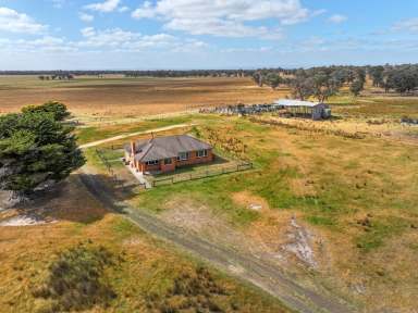 Farm For Sale - VIC - Cowwarr - 3857 - 455 Acres, 2 Titles  (Image 2)