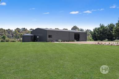 Farm For Sale - VIC - Hastings - 3915 - Contemporary Semi-Rural Living  (Image 2)