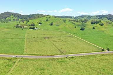 Farm For Sale - NSW - Kyogle - 2474 - COLLINS CREEK - 335 ACRES  (Image 2)