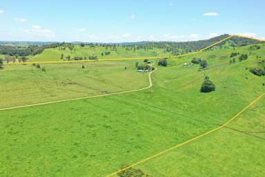 Farm For Sale - NSW - Kyogle - 2474 - COLLINS CREEK - 335 ACRES  (Image 2)