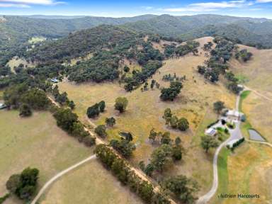 Farm For Sale - VIC - Murrindindi - 3717 - Tranquil Off-Grid Retreat!  (Image 2)