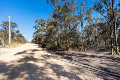 Farm For Sale - VIC - Green Gully - 3462 - Bush Serenity  (Image 2)