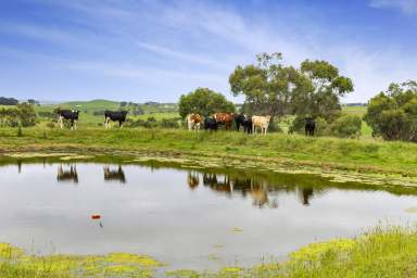 Farm For Sale - VIC - Glen Alvie - 3979 - Exceptional Rural Property  (Image 2)