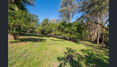 Farm For Sale - QLD - Diddillibah - 4559 - Family-Friendly Acreage: Lifestyle, Location, Versatility!  (Image 2)