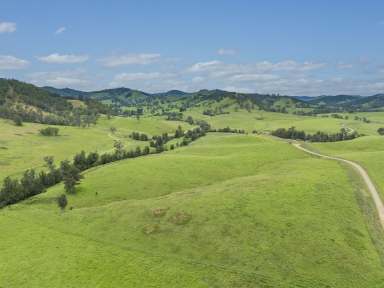 Farm Auction - NSW - Belbora - 2422 - 'Kokebagu' - A Picturesque 455-Acre Paradise in the Heart of the Belbora Valley  (Image 2)