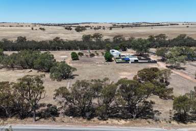 Farm For Sale - WA - Muluckine - 6401 - Rural Lifestyle/Equine Property Close to Northam  (Image 2)