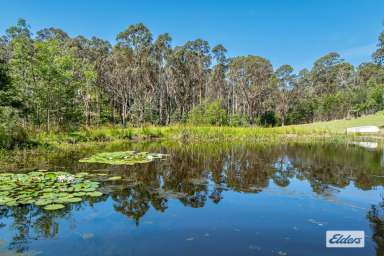 Farm For Sale - NSW - Malua Bay - 2536 - SOUTH COAST RURAL LIFESTYLE AWAITS  (Image 2)