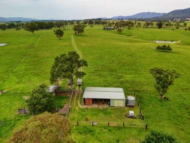 Farm For Sale - NSW - Gloucester - 2422 - WELCOME TO “VILLA MEDICI”  (Image 2)