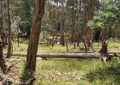 Farm For Sale - VIC - Kerrisdale - 3660 - "Ultimate Rural Retreat " 4x4 Required.  (Image 2)